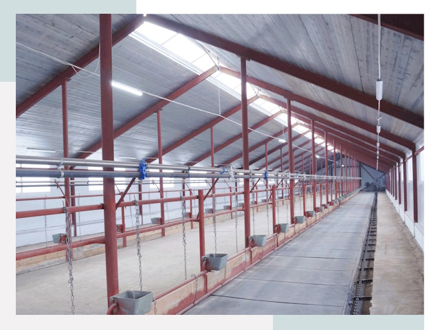 Строительство коровников в Ялте от 613 руб.