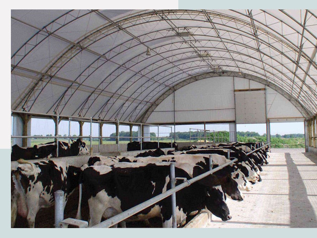 Тентовые коровники в Ялте